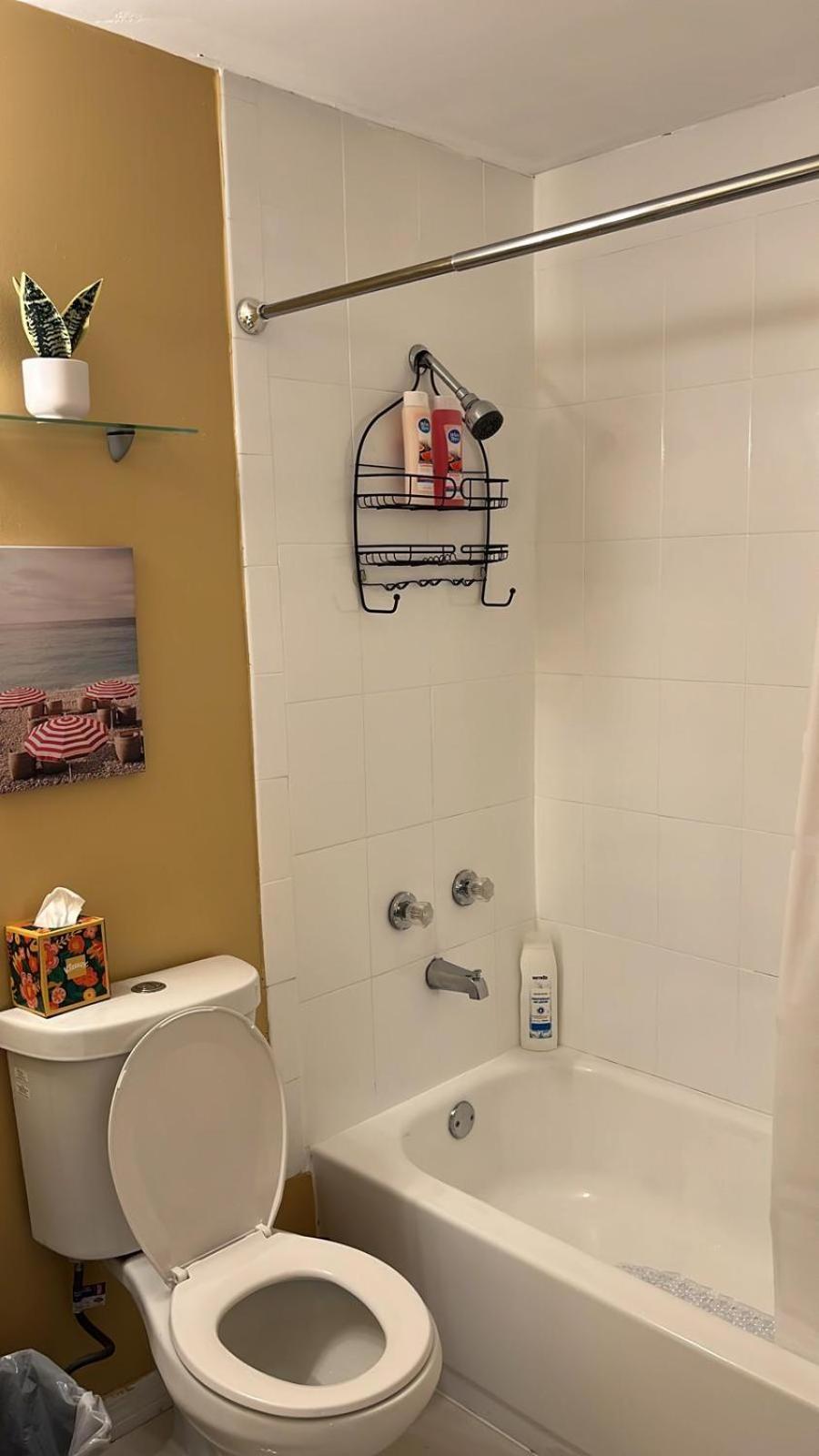 Beautiful, Fully Furnished 4Bed 2Bath House - 5 Minute Walk To Miracle Mile Downtown Coral Gables Villa Miami Kültér fotó